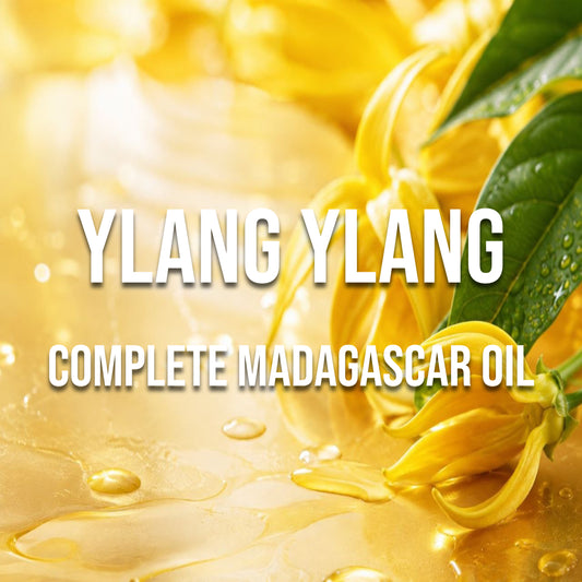 Ylang Ylang Complete Madagascar Oil - World of Aromas
