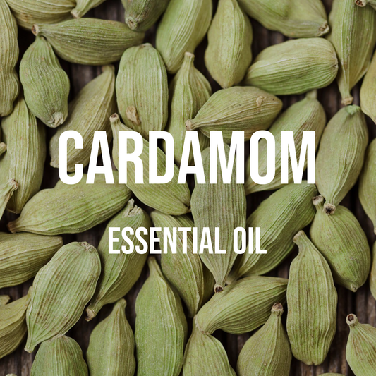 Cardamom Essential Oil 5% Dilution