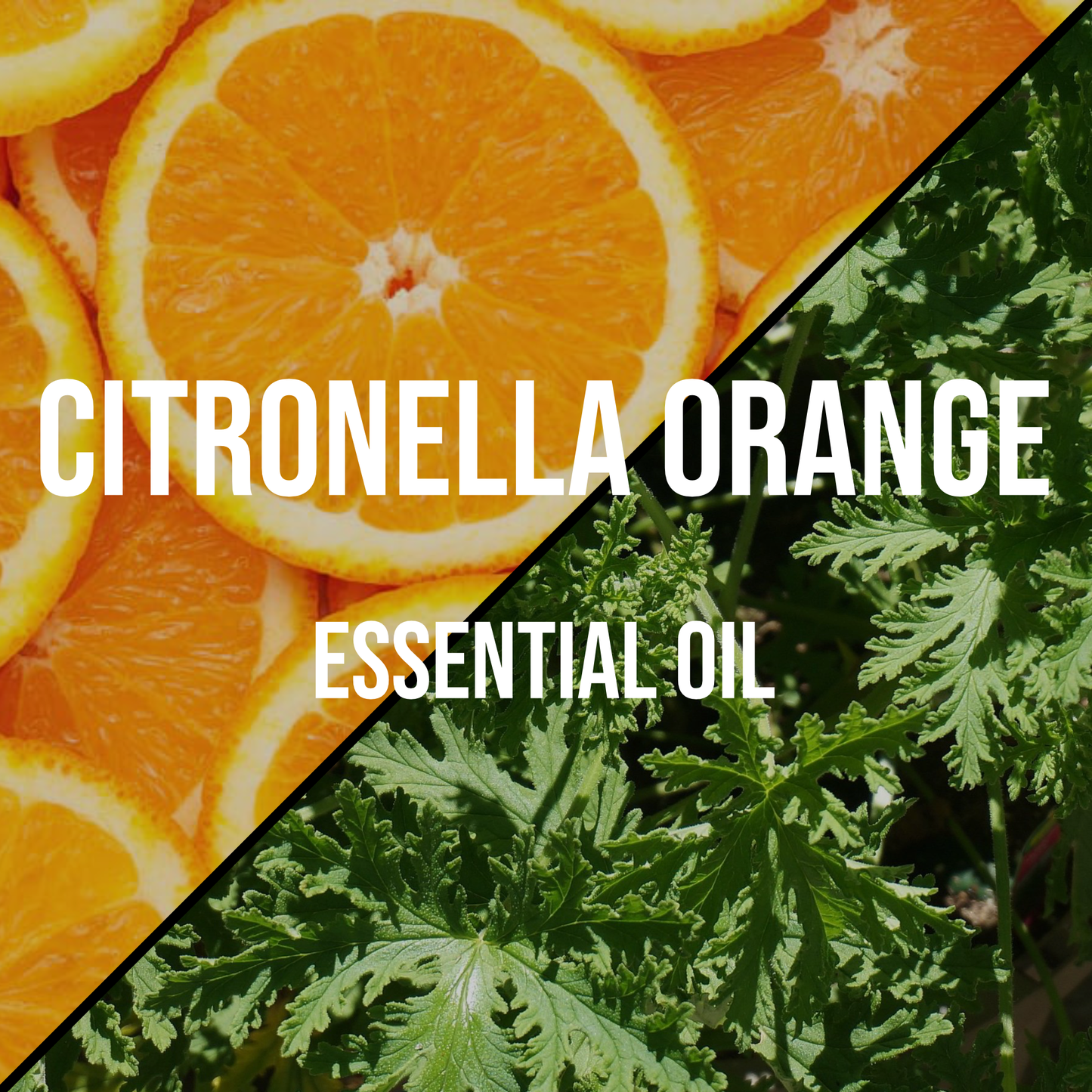 Citronella Orange Essential Oil