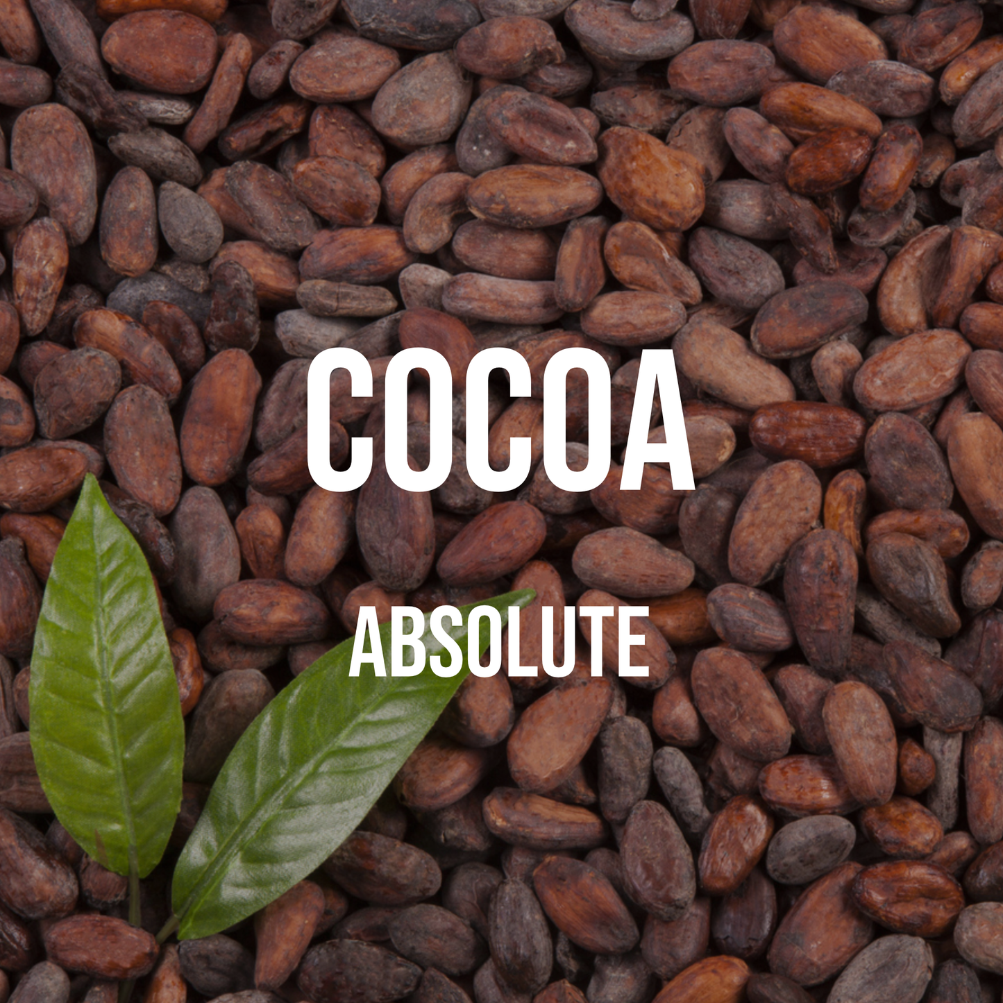 Cocoa Absolute