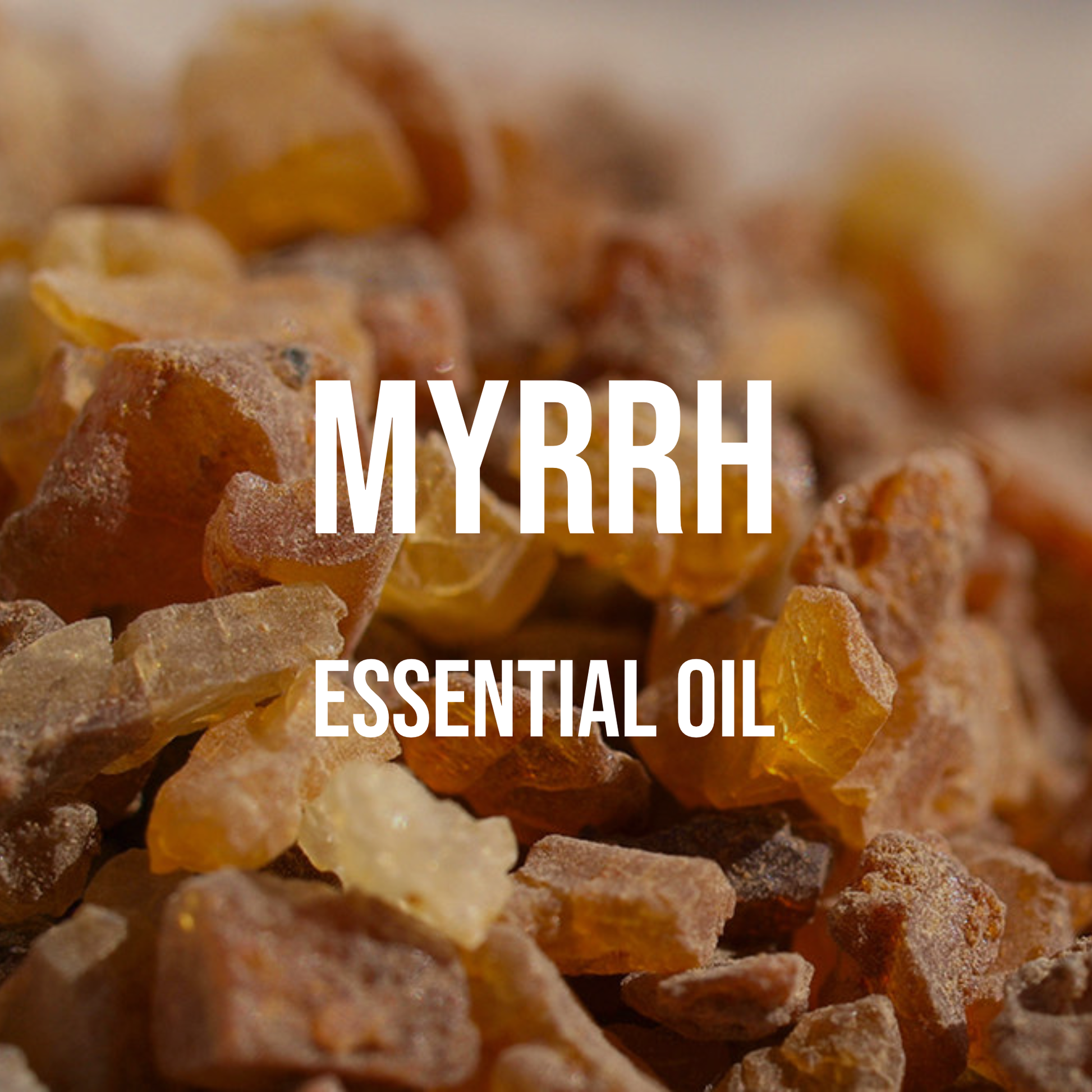 Myrrh Essential Oil -100% Pure Therapeutic - Barefut Essential Oils