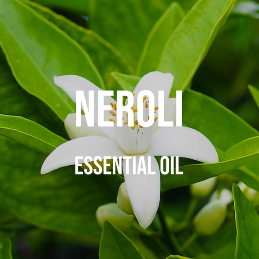 Neroli Essential Oil 5% Dilution