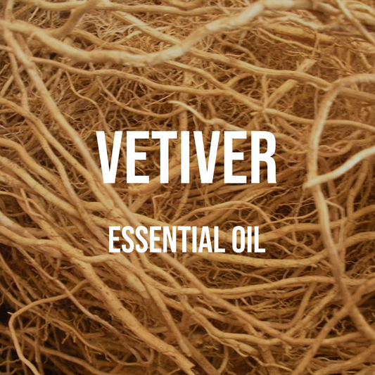 Vetiver Essential Oil 20% Dilution